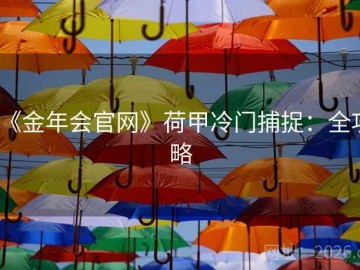 《金年会官网》荷甲冷门捕捉：全攻略