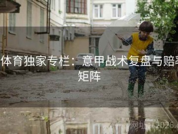 b体育独家专栏：意甲战术复盘与赔率矩阵