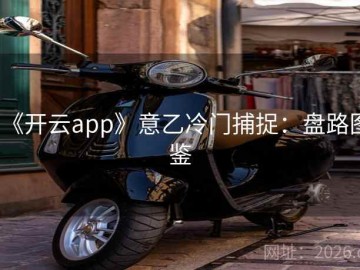《开云app》意乙冷门捕捉：盘路图鉴