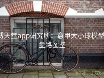 博天堂app研究所：意甲大小球模型·盘路图鉴