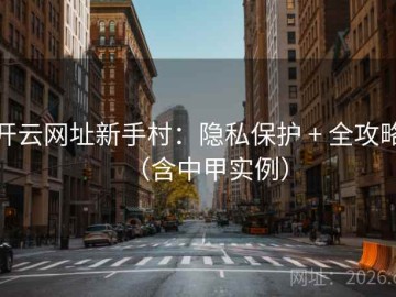 开云网址新手村：隐私保护 + 全攻略（含中甲实例）