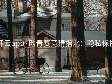 开云app·欧青赛竞猜指北：隐私保护