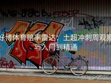 好博体育赔率雷达：土超冲刺周观察与入门到精通