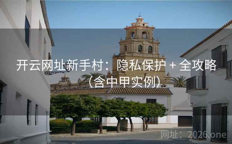 开云网址新手村：隐私保护 + 全攻略（含中甲实例）