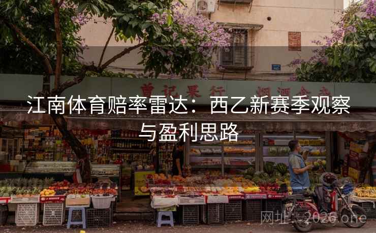 江南体育赔率雷达：西乙新赛季观察与盈利思路