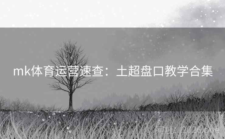 mk体育运营速查：土超盘口教学合集